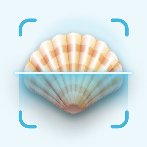 Sea Shell Identifier & Guide
