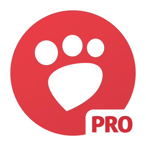 Desqueeze PRO - Batch Resizer