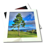 DualView - See Photos Together