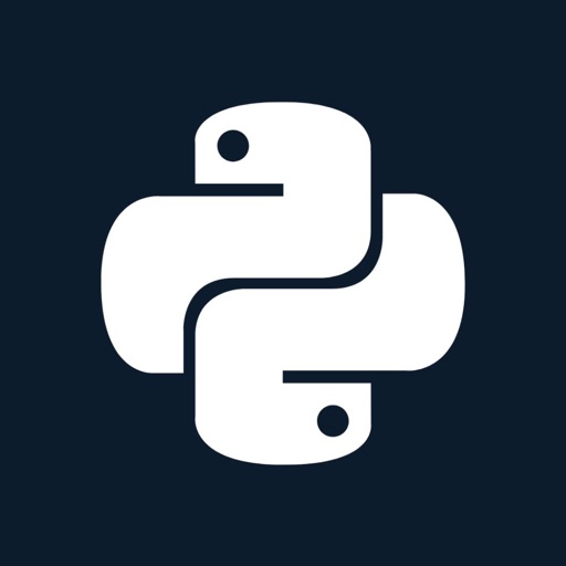 Python for Kids: Learn with AI