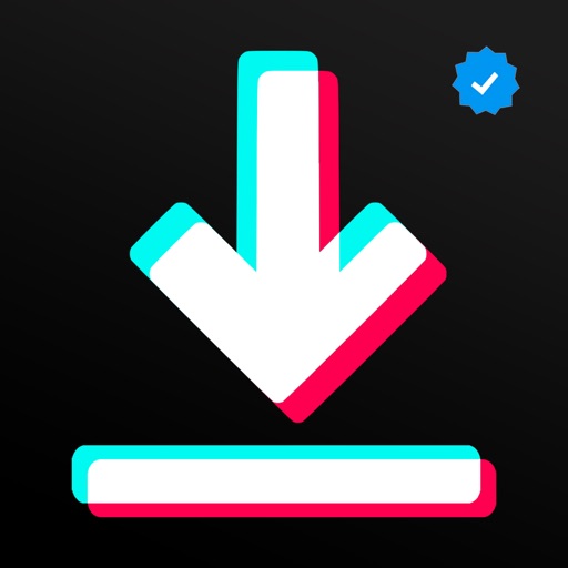SnapTik - Tik Videos Saver
