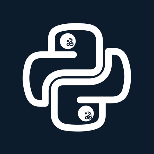 Python Academy - Learn with AI